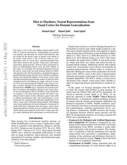 Mice to Machines: Neural Representations from Visual Cortex for Domain Generalization