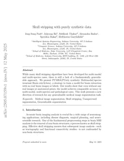 Skull stripping with purely synthetic data