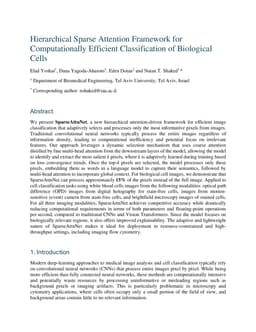Hierarchical Sparse Attention Framework for Computationally Efficient Classification of Biological Cells