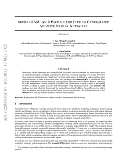 neuralGAM: An R Package for Fitting Generalized Additive Neural Networks