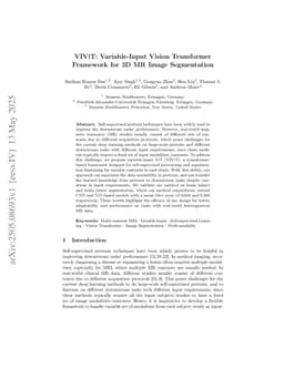 VIViT: Variable-Input Vision Transformer Framework for 3D MR Image Segmentation