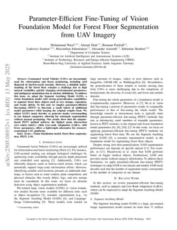 Parameter-Efficient Fine-Tuning of Vision Foundation Model for Forest Floor Segmentation from UAV Imagery