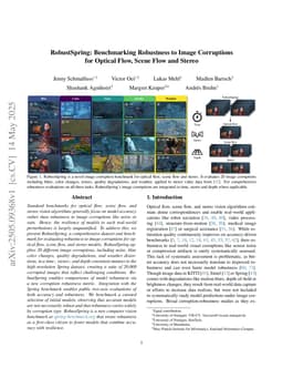 RobustSpring: Benchmarking Robustness to Image Corruptions for Optical Flow, Scene Flow and Stereo