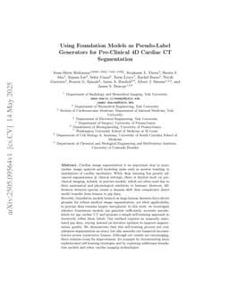 Using Foundation Models as Pseudo-Label Generators for Pre-Clinical 4D Cardiac CT Segmentation