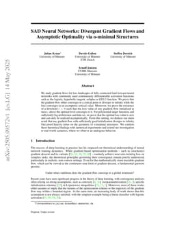 SAD Neural Networks: Divergent Gradient Flows and Asymptotic Optimality via o-minimal Structures