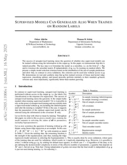 Supervised Models Can Generalize Also When Trained on Random Label