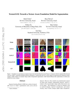 TextureSAM: Towards a Texture Aware Foundation Model for Segmentation