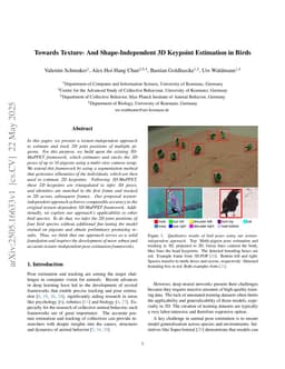 Towards Texture- And Shape-Independent 3D Keypoint Estimation in Birds