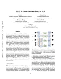 TAGS: 3D Tumor-Adaptive Guidance for SAM