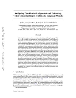 Analyzing Fine-Grained Alignment and Enhancing Vision Understanding in Multimodal Language Models