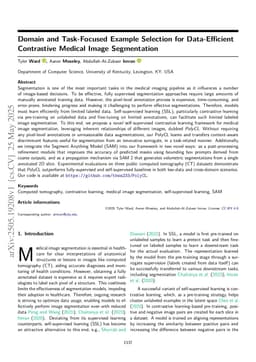 Domain and Task-Focused Example Selection for Data-Efficient Contrastive Medical Image Segmentation