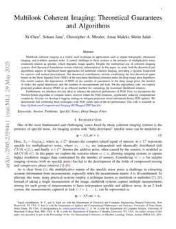 Multilook Coherent Imaging: Theoretical Guarantees and Algorithms