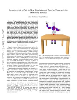 Learning with pyCub: A New Simulation and Exercise Framework for Humanoid Robotics