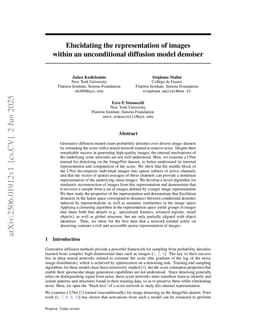 Elucidating the representation of images within an unconditional diffusion model denoiser