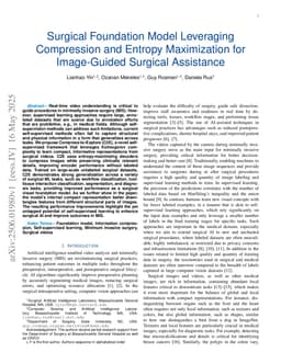 Surgical Foundation Model Leveraging Compression and Entropy Maximization for Image-Guided Surgical Assistance