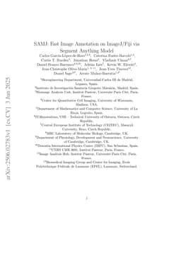 SAMJ: Fast Image Annotation on ImageJ/Fiji via Segment Anything Model