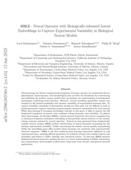 NOBLE -- Neural Operator with Biologically-informed Latent Embeddings to Capture Experimental Variability in Biological Neuron Models