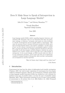 Does It Make Sense to Speak of Introspection in Large Language Models?