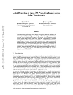 Joint Denoising of Cryo-EM Projection Images using Polar Transformers