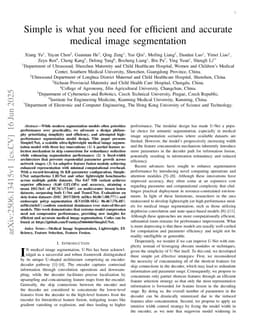 Simple is what you need for efficient and accurate medical image segmentation