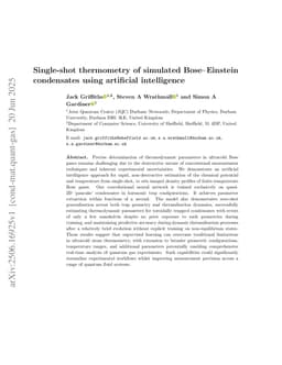 Single-shot thermometry of simulated Bose--Einstein condensates using artificial intelligence