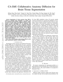 CA-Diff: Collaborative Anatomy Diffusion for Brain Tissue Segmentation
