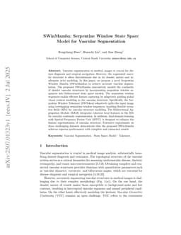 SWinMamba: Serpentine Window State Space Model for Vascular Segmentation
