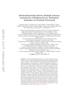 Medical-Knowledge Driven Multiple Instance Learning for Classifying Severe Abdominal Anomalies on Prenatal Ultrasound