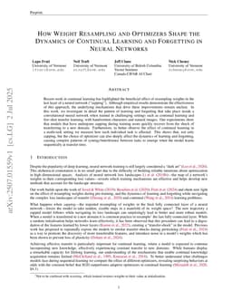 How Weight Resampling and Optimizers Shape the Dynamics of Continual Learning and Forgetting in Neural Networks