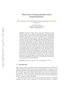 When Does Pruning Benefit Vision Representations?
