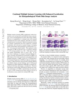 Continual Multiple Instance Learning with Enhanced Localization for Histopathological Whole Slide Image Analysis
