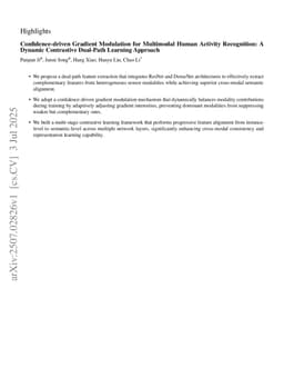 Confidence-driven Gradient Modulation for Multimodal Human Activity Recognition: A Dynamic Contrastive Dual-Path Learning Approach