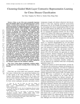 Clustering-Guided Multi-Layer Contrastive Representation Learning for Citrus Disease Classification