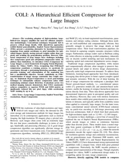 COLI: A Hierarchical Efficient Compressor for Large Images