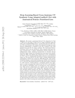 Deep Learning-Based Cross-Anatomy CT Synthesis Using Adapted nnResU-Net with Anatomical Feature Prioritized Loss