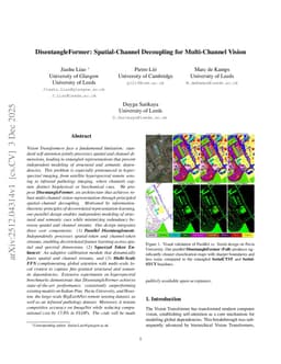 DisentangleFormer: Spatial-Channel Decoupling for Multi-Channel Vision